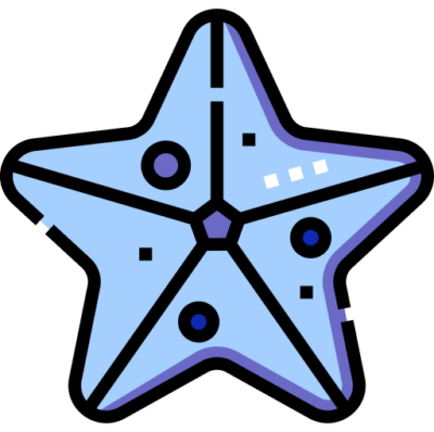 meritähti
